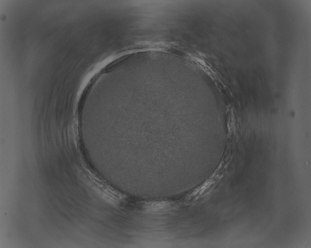 X0000070860342200606231258