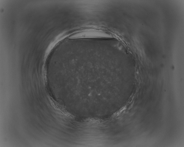 X0000070860343200606231258