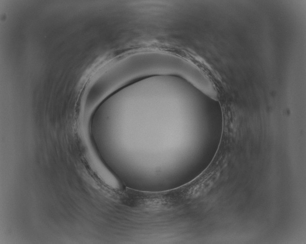 X0000070860344200606231258