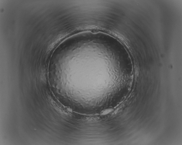 X0000070860345200606231258