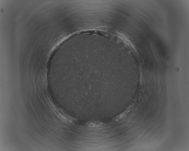 X0000070860346200606231258