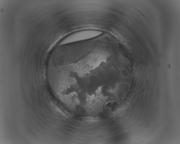 X0000070860347200606231258