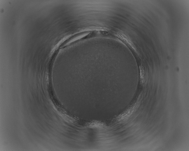 X0000070860348200606231258