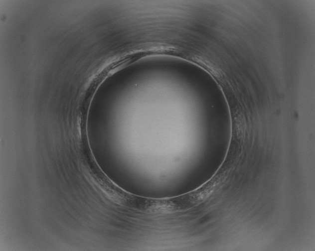 X0000070860350200606231258