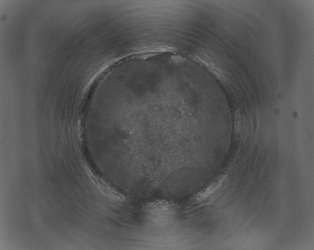 X0000070860351200606231258