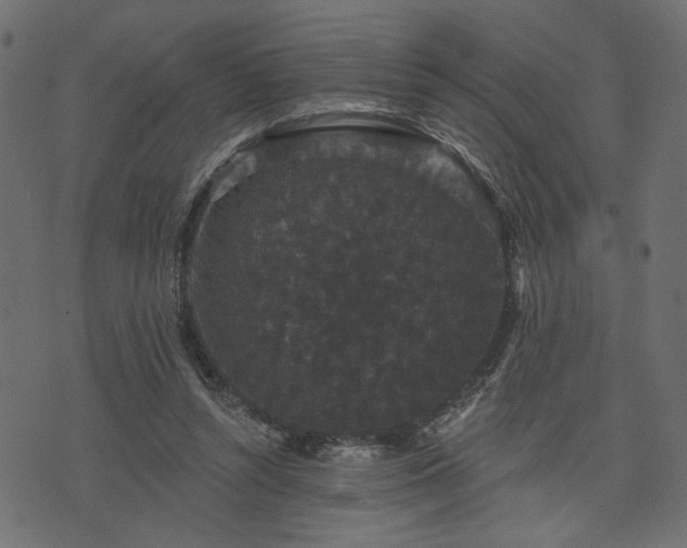 X0000070860352200606231258