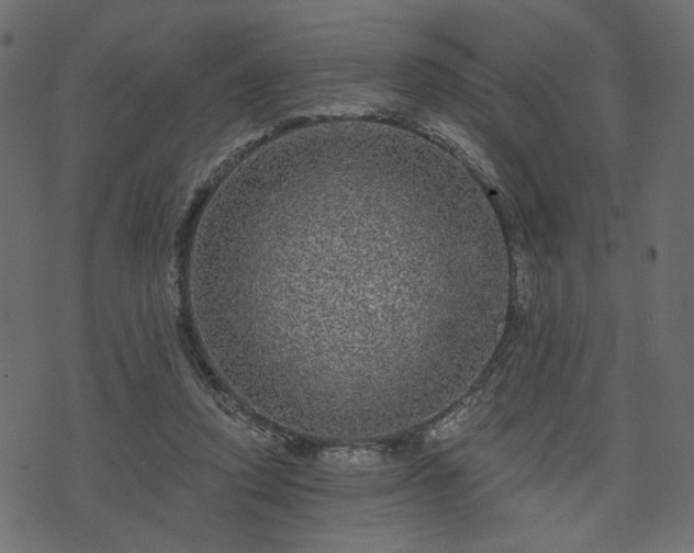 X0000070860354200606231258