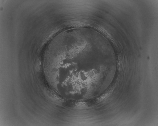 X0000070860355200606231258