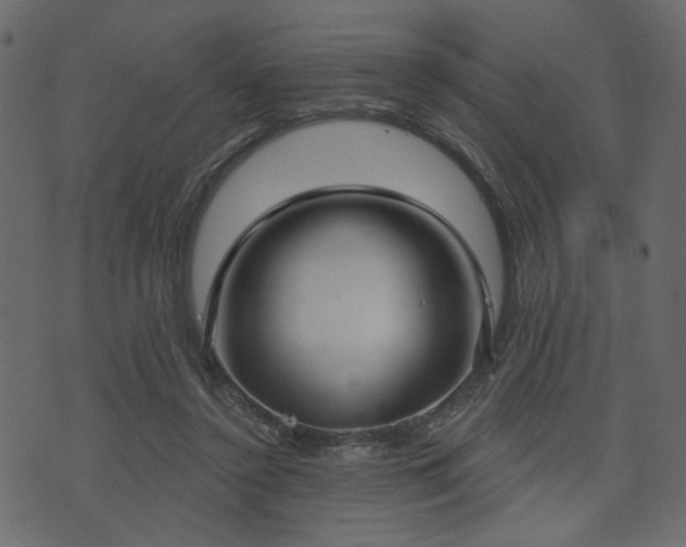 X0000070860356200606231258