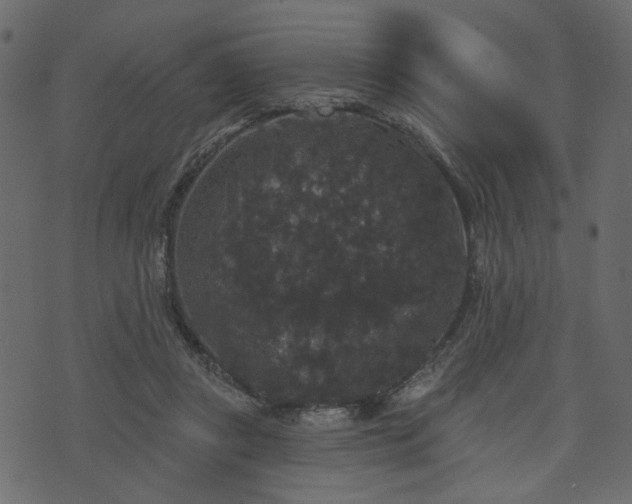 X0000070860357200606231258