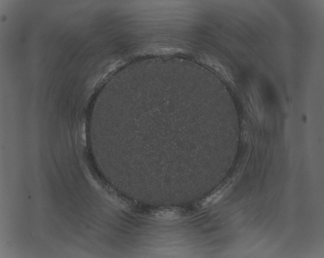 X0000070860358200606231258