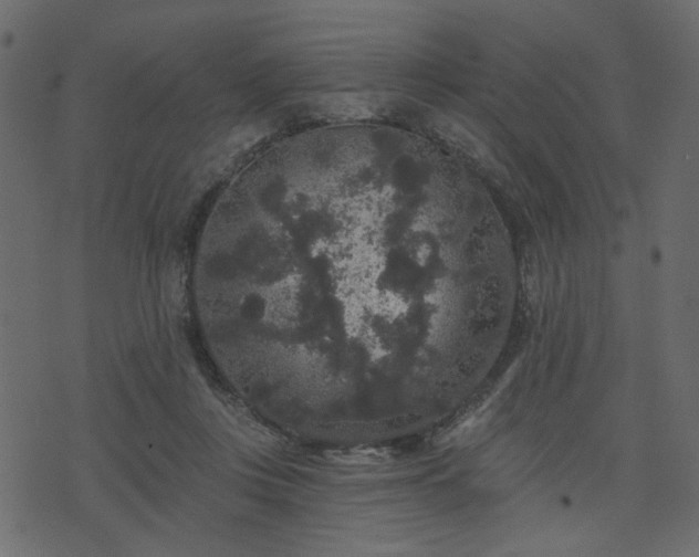 X0000070860359200606231258