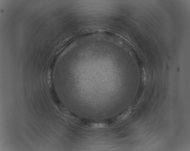 X0000070860360200606231258