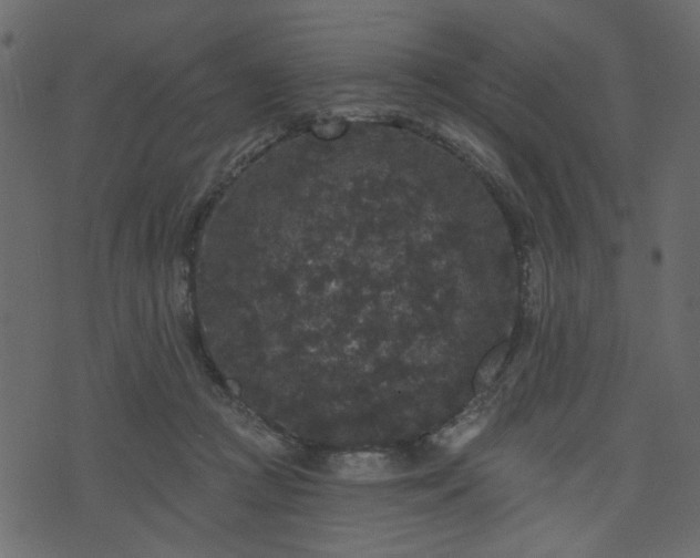 X0000070860361200606231258