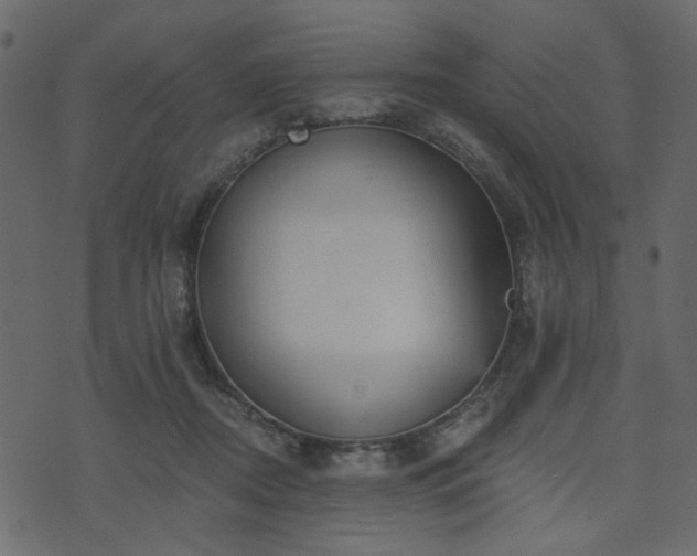 X0000070860362200606231259