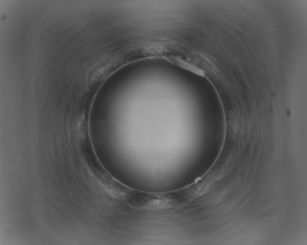 X0000070860364200606231259