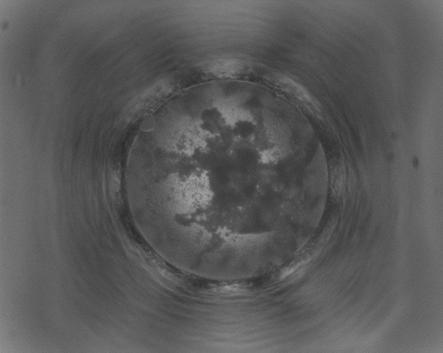 X0000070860365200606231259