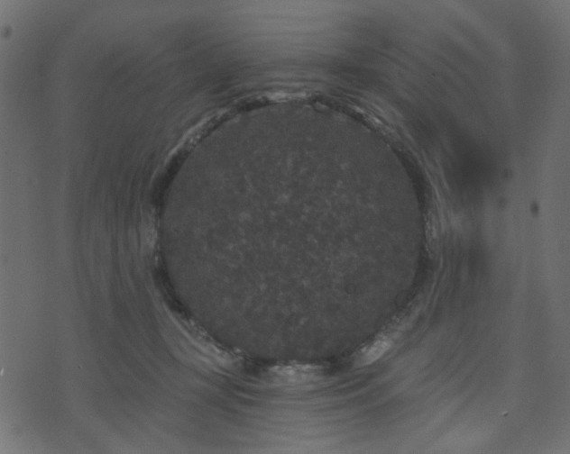 X0000070860367200606231259