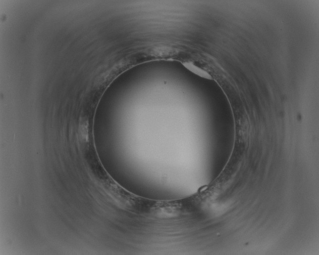 X0000070860368200606231259