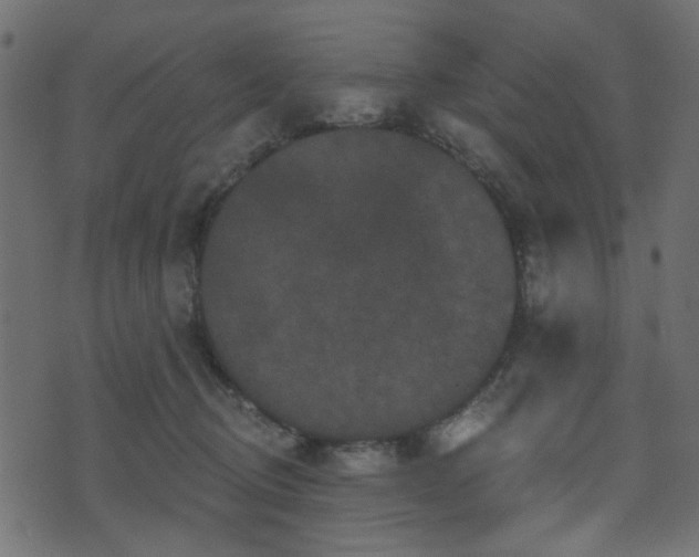 X0000070860370200606231259