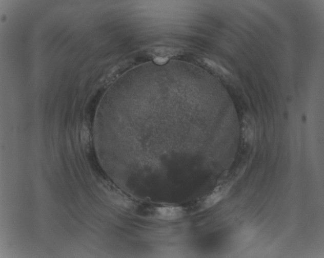 X0000070860371200606231259