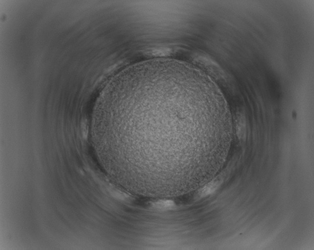 X0000070860374200606231259