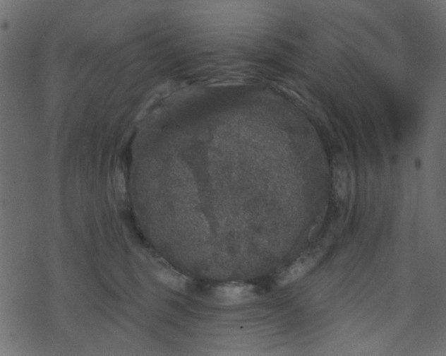 X0000070860375200606231259