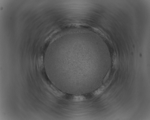 X0000070860376200606231259