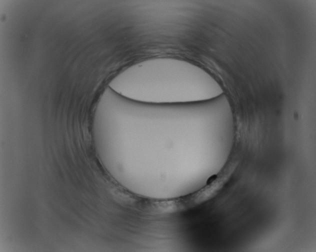 X0000070860377200606231259