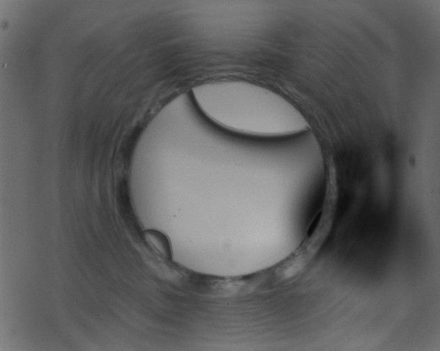 X0000070860379200606231259