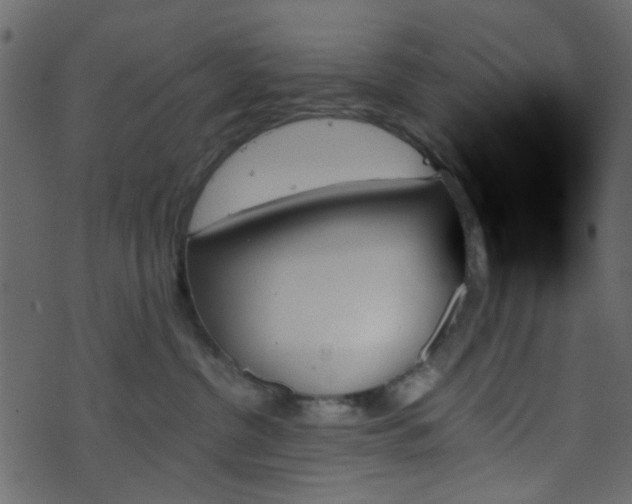 X0000070860380200606231259