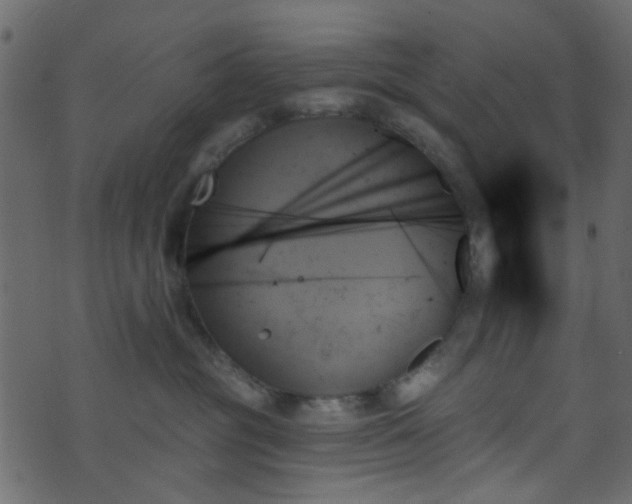 X0000070860381200606231259