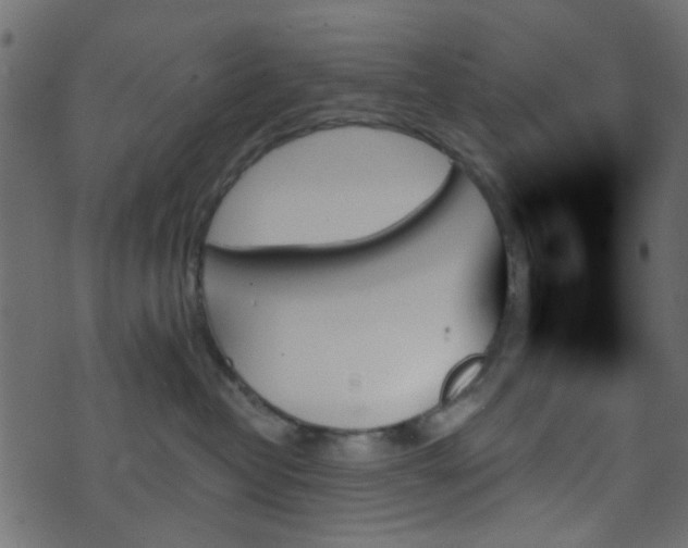 X0000070860382200606231259