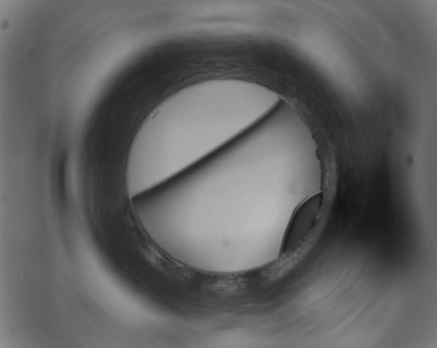 X0000070860383200606231259