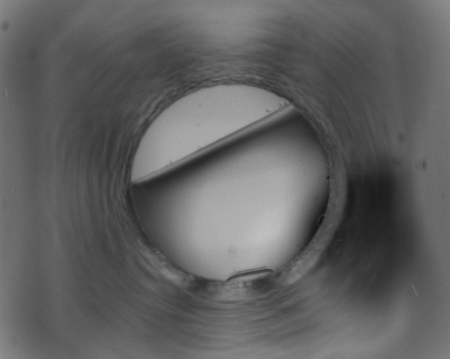 X0000070860384200606231259