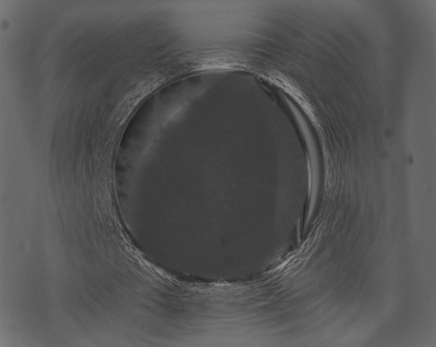 X0000070860385200606231258