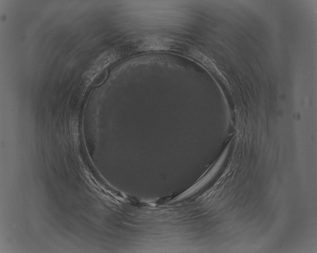 X0000070860386200606231258