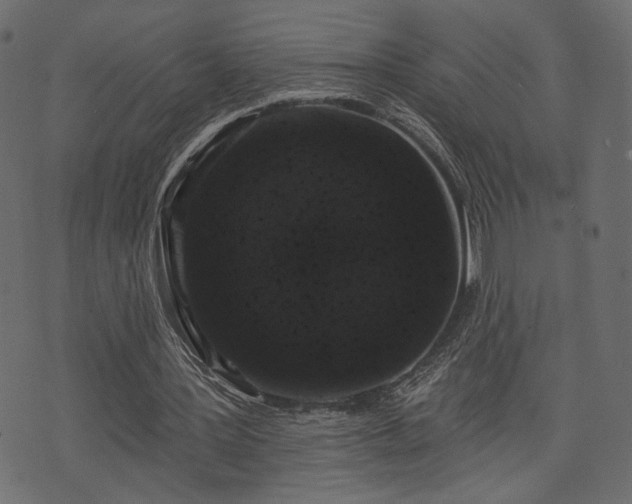 X0000070860387200606231258