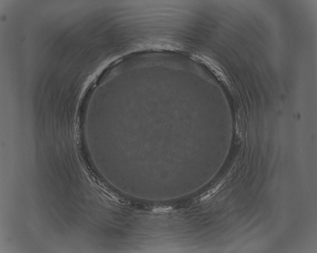 X0000070860388200606231258