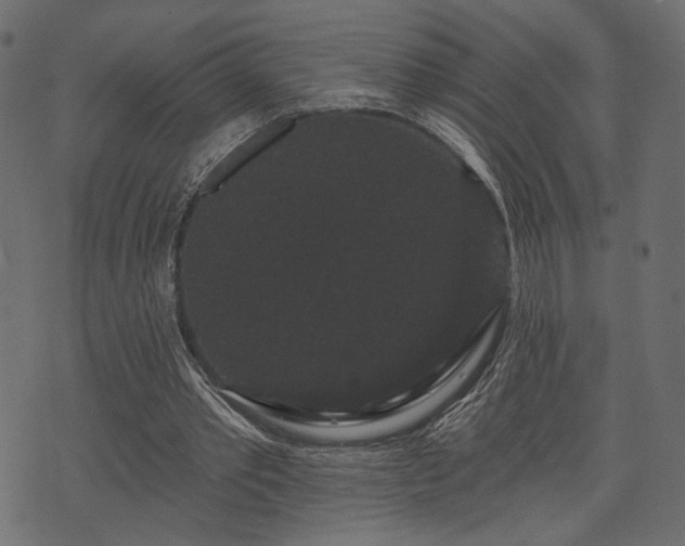 X0000070860389200606231258