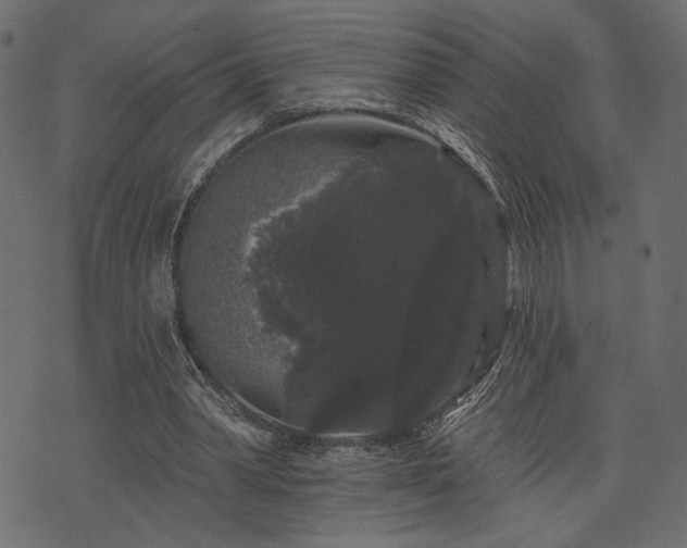 X0000070860390200606231258