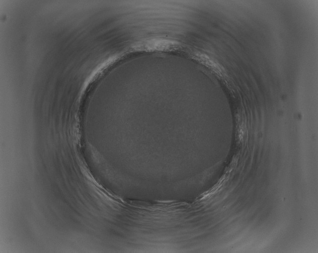 X0000070860392200606231258