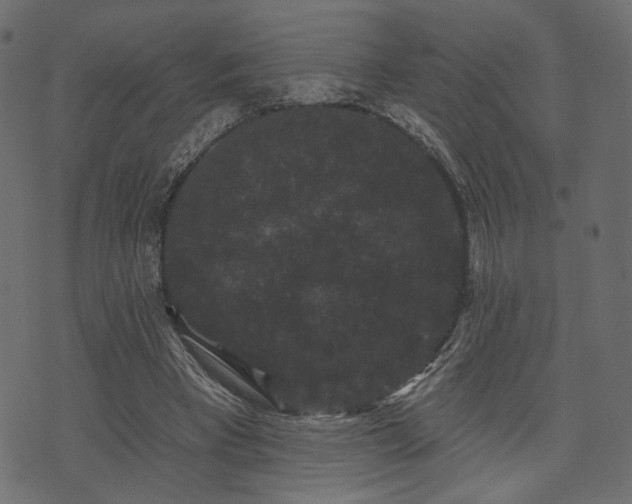 X0000070860393200606231258