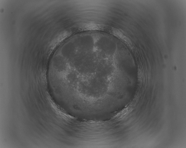 X0000070860394200606231258