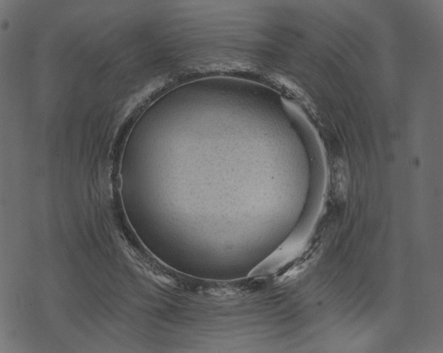 X0000070860395200606231258