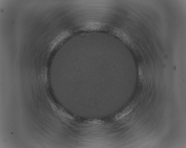 X0000070860396200606231258