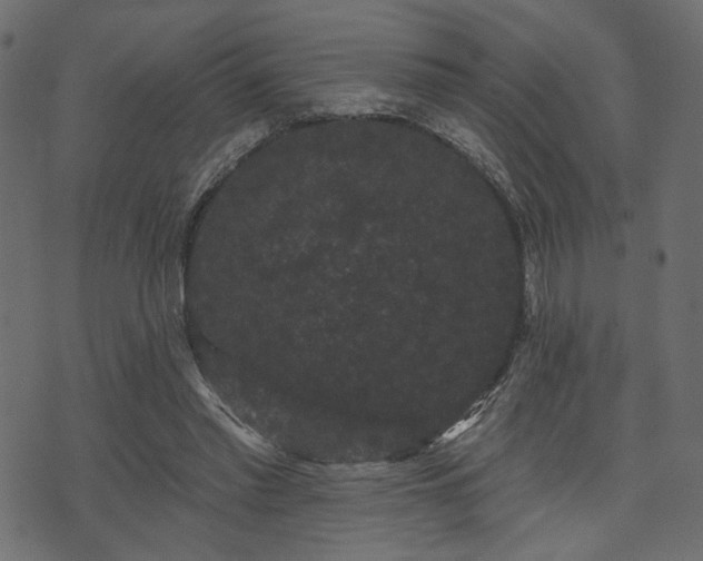 X0000070860397200606231258