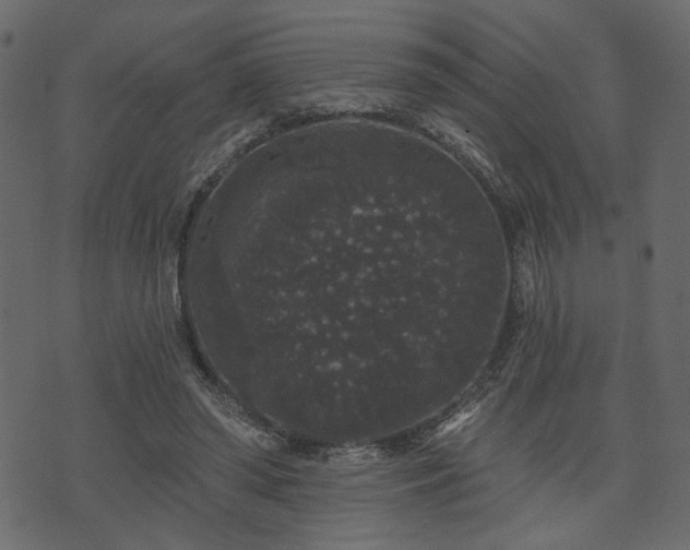 X0000070860398200606231258