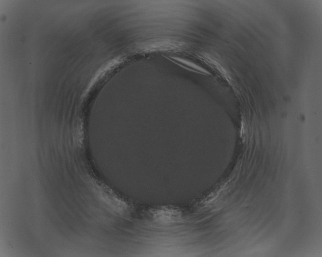 X0000070860400200606231258