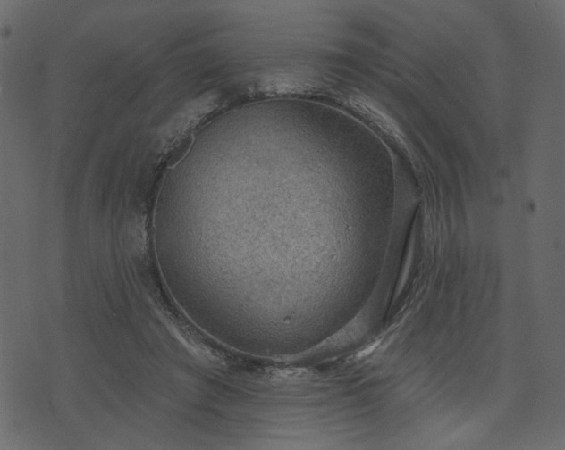 X0000070860401200606231258